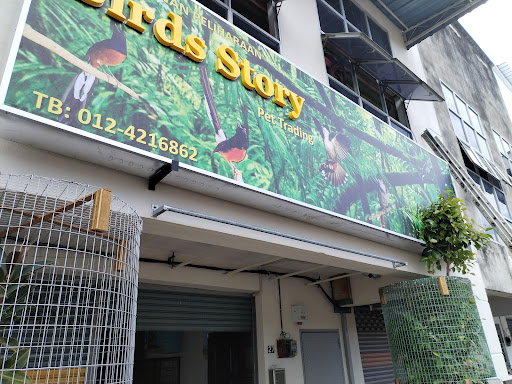 Birds Story Pet Trading Birds Story Pet Trading