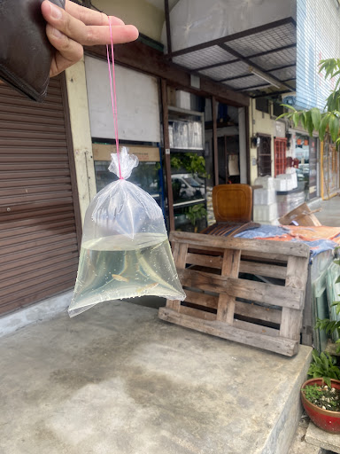 Pusat Aquarium Lee