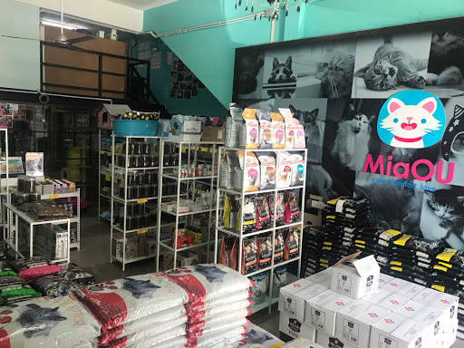 MIAOU CITY S/B ( MiaOU )