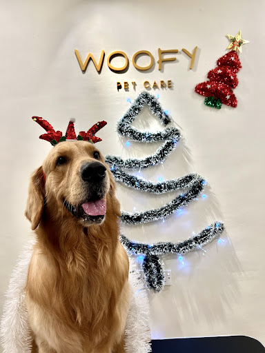 Woofy Pet Care