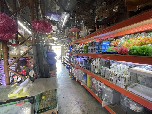 Delight Pet Penang Shop