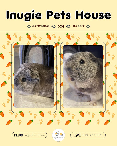 Inugie Pets House