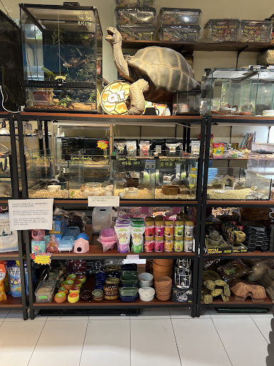 Reptile Den @ Ipoh Parade