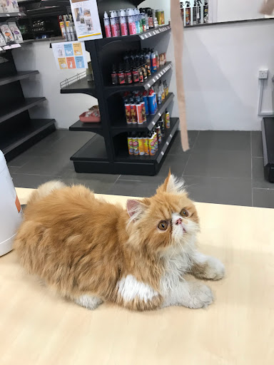 SiManja & SiComel Pets Shop