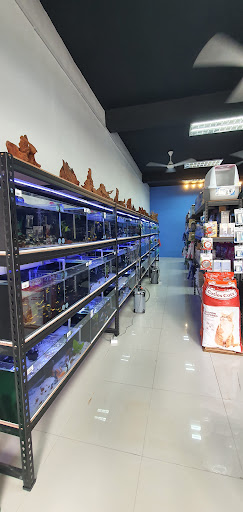 G Aquarium and Pets