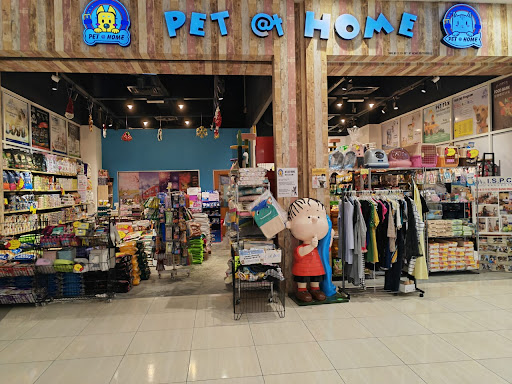 PET at Home @ AEON BIG Ipoh Falim