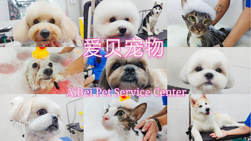 AiBei Pet Ipoh