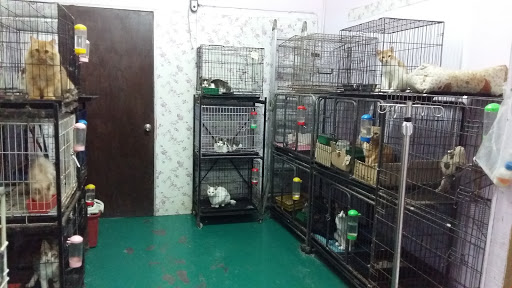 Klinik Haiwan Kampar Klinik Haiwan Kampar