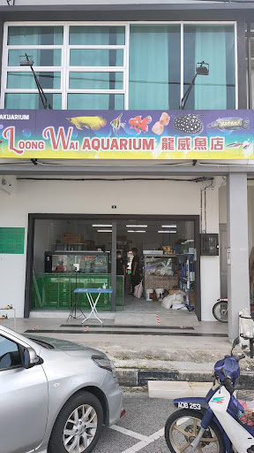 Kedai Aquarium Loong Wai