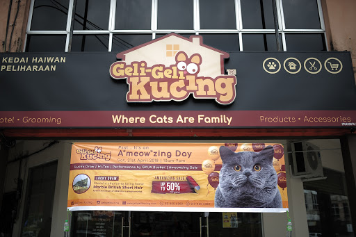 Geli Geli Kucing - Kuala Kangsar Geli Geli Kucing - Kuala Kangsar