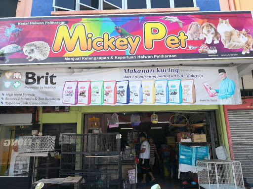 Mickey Pet Mickey Pet