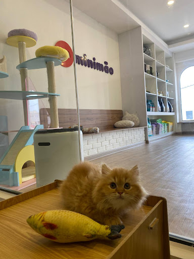 Minimāo Cat Hotel, Spa Sri Manjung/Lumut/Sitiawan/Pantai Remis