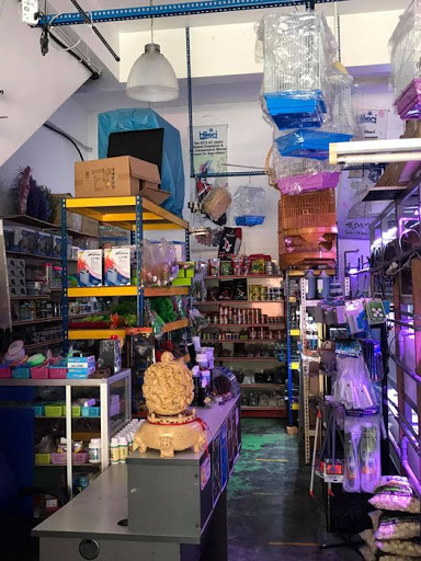 i fish professional aquarium enterprise