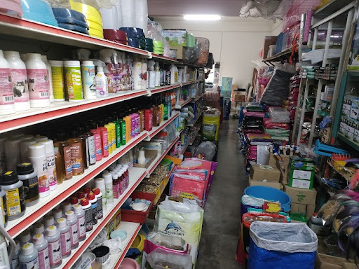 AKUARIUM KAWAN
