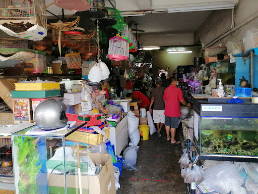 Pusat Akuarium Lee Huat