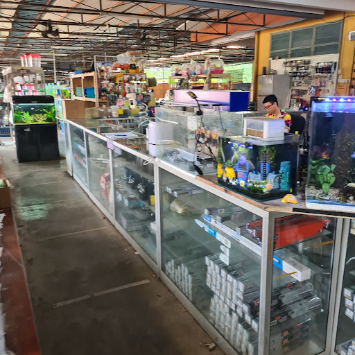 Atlantis Aquariums & Pets Centre