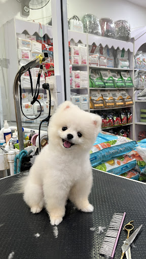 Pure Pretty Pet Shop