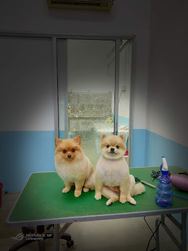 K&E Pet Grooming House