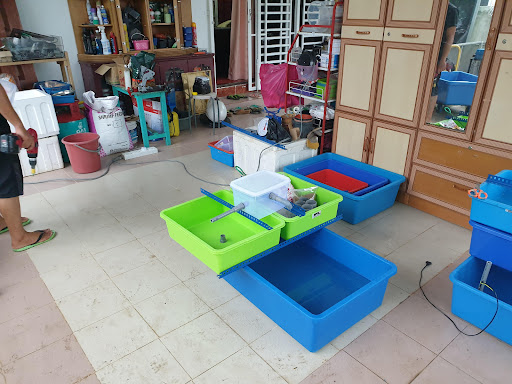 Fadz Enterprise