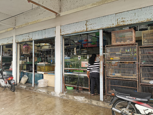D Fish Home Centre D Fish Home Centre