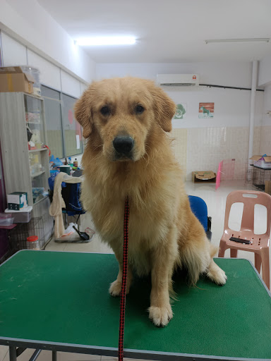 Pawfy Love Pet Saloon Pawfy Love Pet Saloon