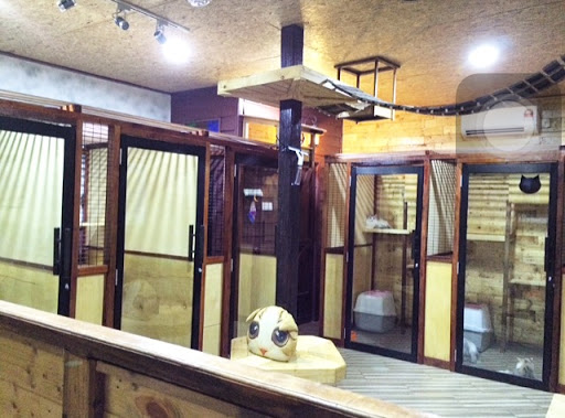 Taiping Cat House