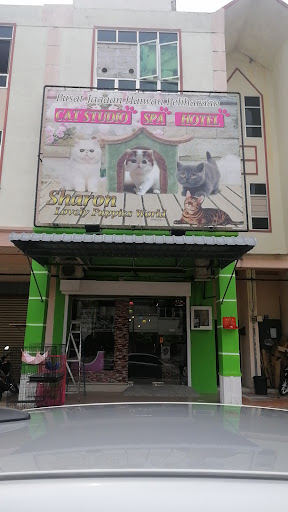 HAPPY PET SPA,HOTEL&STUDIO