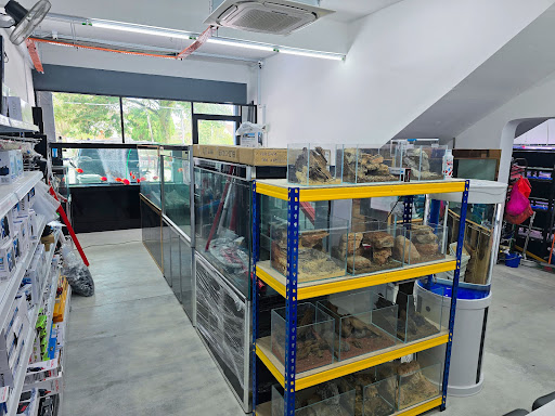 FISH DATING AQUARIUM(M) SDN BHD 鱼您有约水族器材有限公司