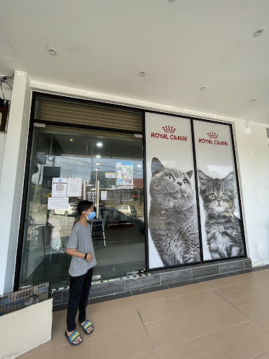 Cat Story Pet Shop