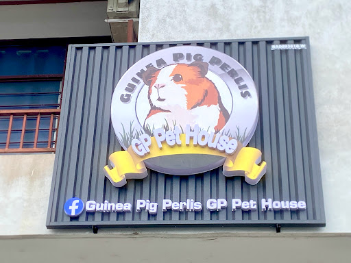 Guinea Pig Perlis GP Pet House Guinea Pig Perlis GP Pet House