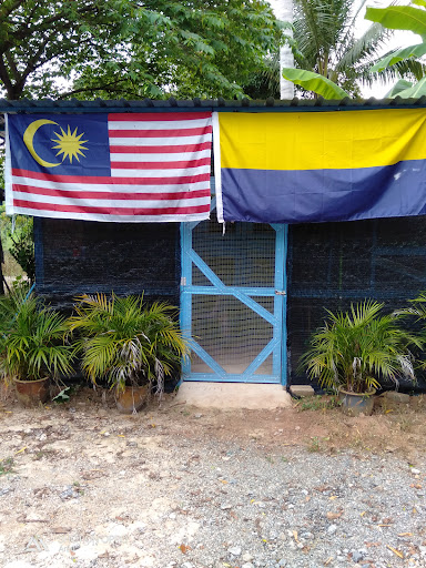 Rabbits De Kok Klang