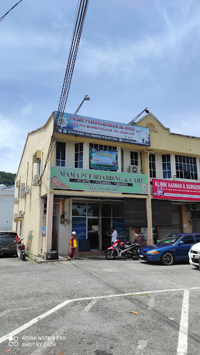 HOTEL KUCING PERLIS