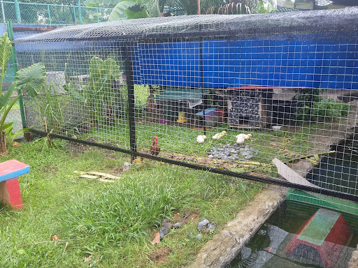 Pusat Perlindungan Kucing Putrajaya