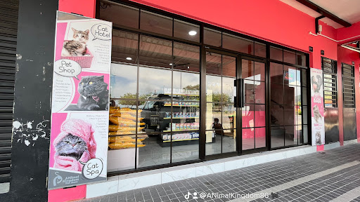 Kedai Kucing Animal Kingdom Kedai Kucing Animal Kingdom