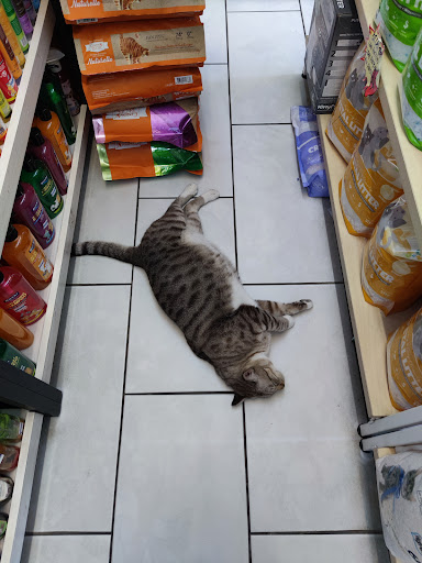 JJ Pet Shop (Bundusan)