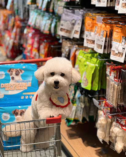 Sesame House Pet Grooming