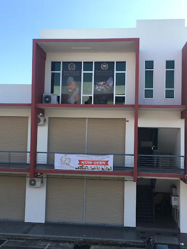 pawsionate pet hotel