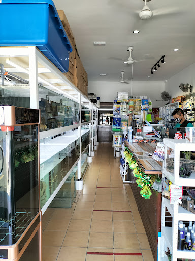 K-Mart Aquarium Supplies
