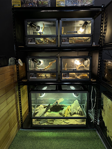 Ck Exotic Pets Studio