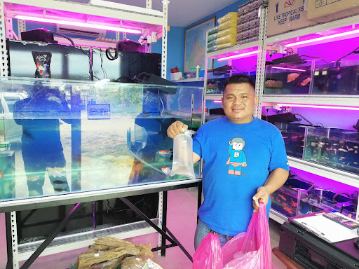Kalawon Betta Farm