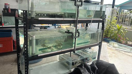 R&R Aquarium
