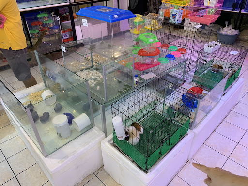 PRO FISH AND PETS PRO FISH AND PETS