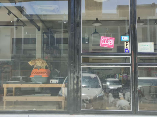 MeowMii Sandakan MeowMii Sandakan