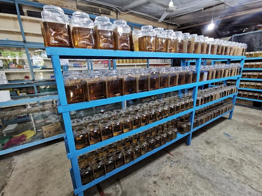 Betta Fish Crocodile Farm Betta Fish Crocodile Farm