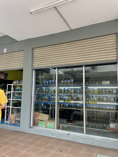 Sandakan Anβz Betta Sandakan Anβz Betta