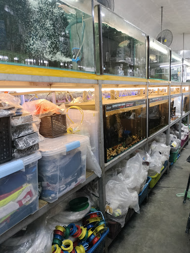 BINTANG GARDEN TACKLE AQUARIUM AND PET SHOP BINTANG GARDEN TACKLE AQUARIUM AND PET SHOP