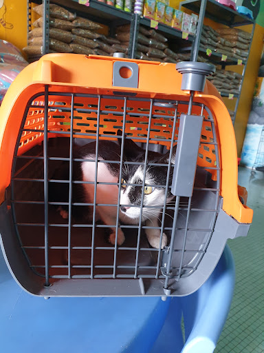 Jr'Mon Cat Shop Jr'Mon Cat Shop