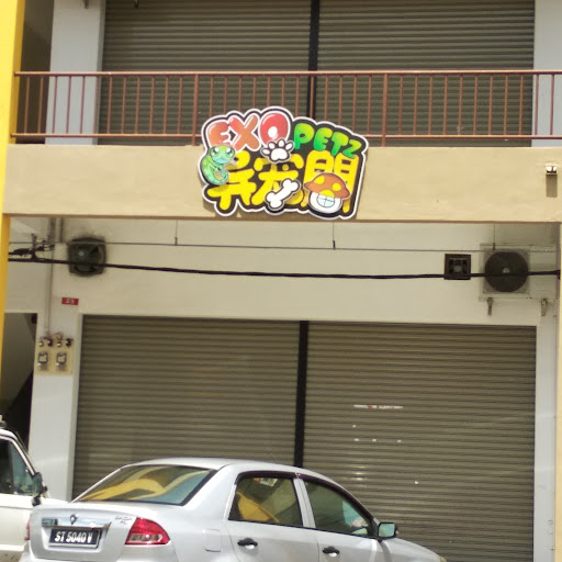 异宠閤 EXO PETZ 异宠閤 EXO PETZ