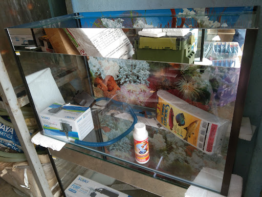MANZZILA AQUA & BETTA FARM MANZZILA AQUA & BETTA FARM