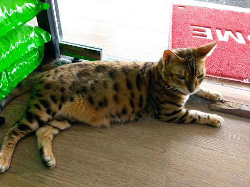 JJ Pet Shop Kuching @MJC Batu Kawa